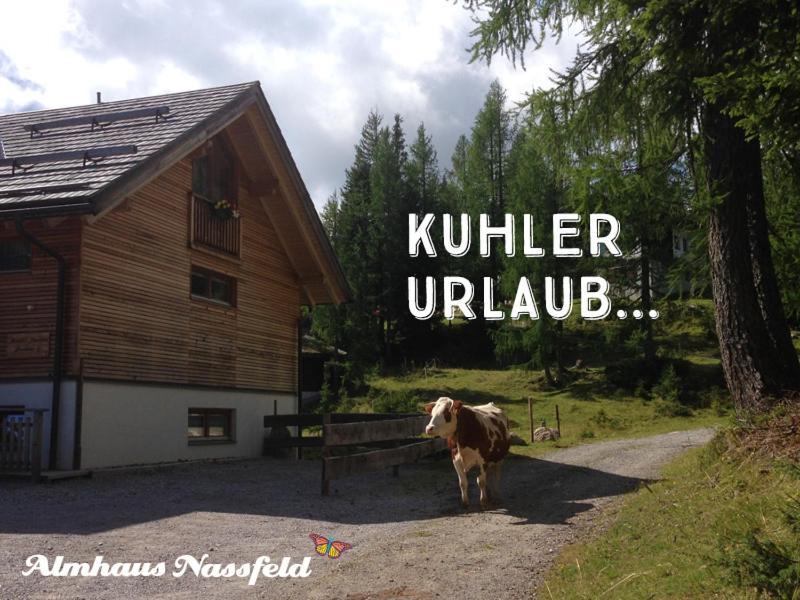 Almhaus Nassfeld Apartment Sonnenalpe Nassfeld Ngoại thất bức ảnh